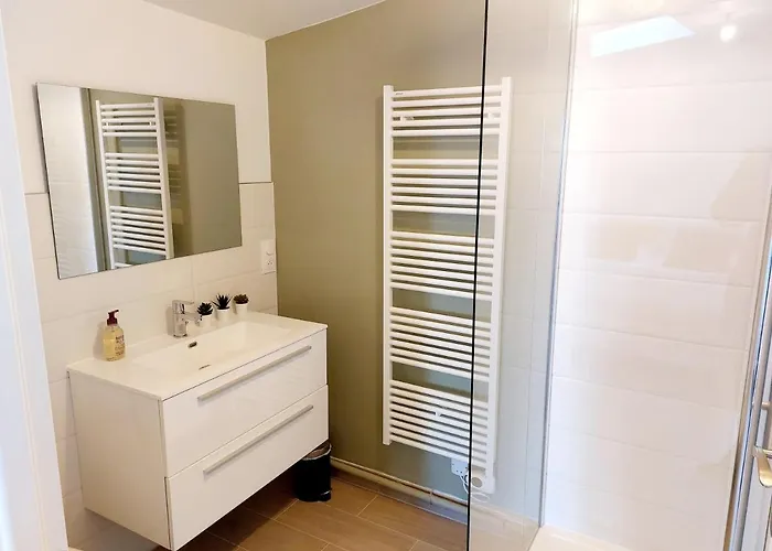 Appartement Ravissant T2 Terrasse Privative Et Parking Odos